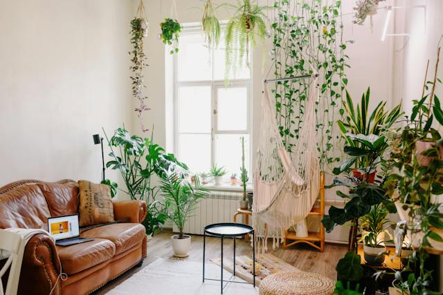 Indoor plants near the brown sofa in a white living room
