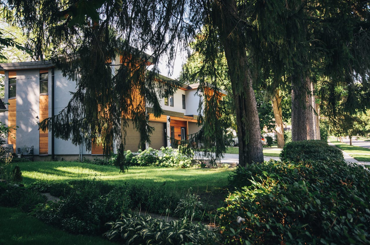 A large house behind trees and bushes